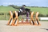 BPP_7868
