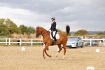 SBM_007371