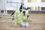 SBM_001115