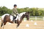 SBM_008674