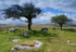 Dartmoor