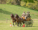 Attelage -919