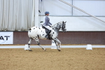 SBM_001448