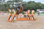 BPP_7739
