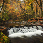 Stepping Stones