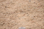 230628A-102900-00094