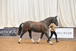 SBM_000082