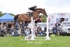 BPP_6340