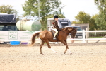 SBM_18029