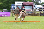 SBM_08177