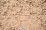 240720A-085637-13185