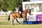 SBM_20192