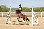 SBM_006816