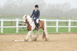 SBM_000872