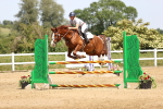 SBM_004400