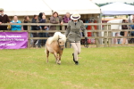 SBM_04455