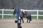 SBM_001354