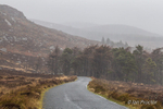 Wet'n'Wild in Wicklow!