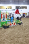 SBM_003934