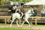 SBM_69917