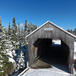 Little Lepreau River Covered Bridge #1.5 Mill Pond NB Canada 1910
