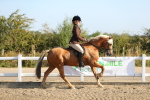 SBM_01133