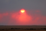 IMG_2244 Maasai Mara