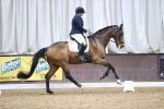 SBM_006135