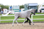 SBM_02439