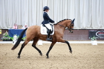 SBM_006201