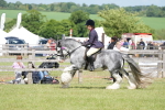 SBM_17307