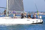 190629 OLYMPIA'S TIGRESS GBR8405R 1Y3A9355