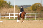 SBM_010503