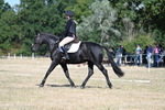 WJ7_9513