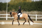 SBM_001225