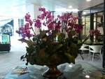 Orchid corporate - 8