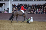 SBM_003478