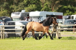 SBM_00806