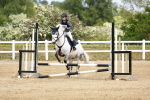 SBM_008066