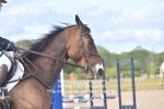BPP_1409