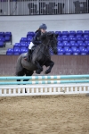 SBM_004587