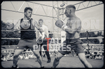BOUT 4 - Sam Kamikazae Kissack v Charlie White-35
