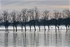 28 December 2015 CIVIC TRUST KNAVESMIRE IN FLOOD - 5 of 9