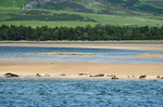 Loch Fleet, Highland