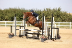SBM_003051