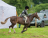 Dunblane show-24