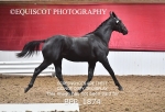 BPP_1874