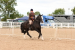 SBM_15622