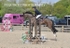 BPP_3336