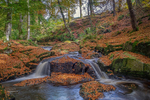 A river runs through it